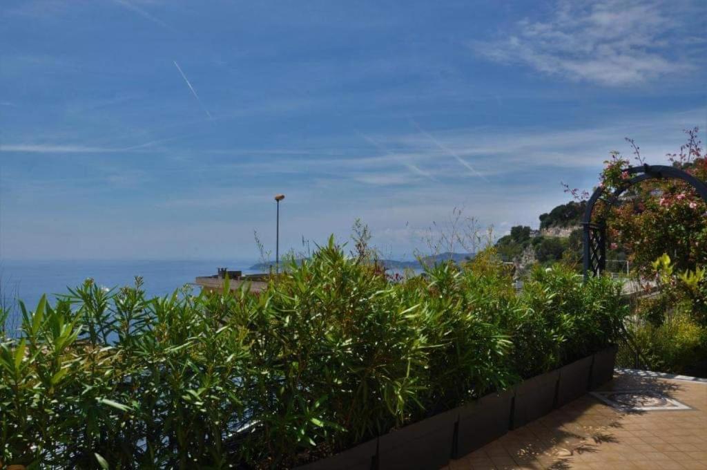 Skyline Apartments Cap-d'Ail Habitación foto